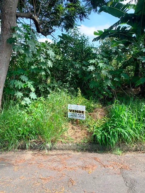 Terreno, 250 m² - Foto 2