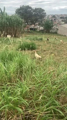 Terreno à venda, 137m² - Foto 2
