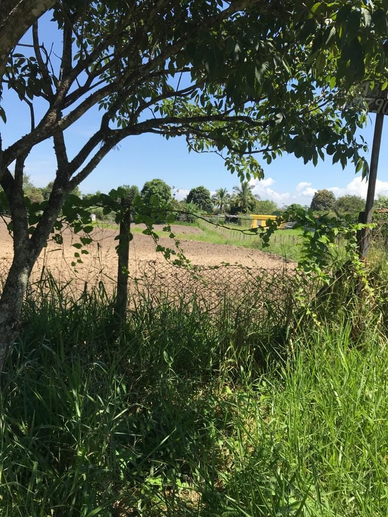 Terreno à venda, 2000m² - Foto 1