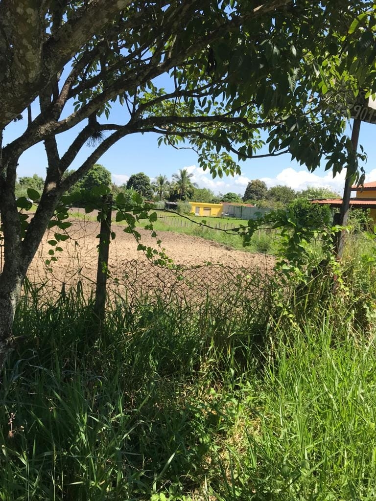 Terreno à venda, 2000m² - Foto 4