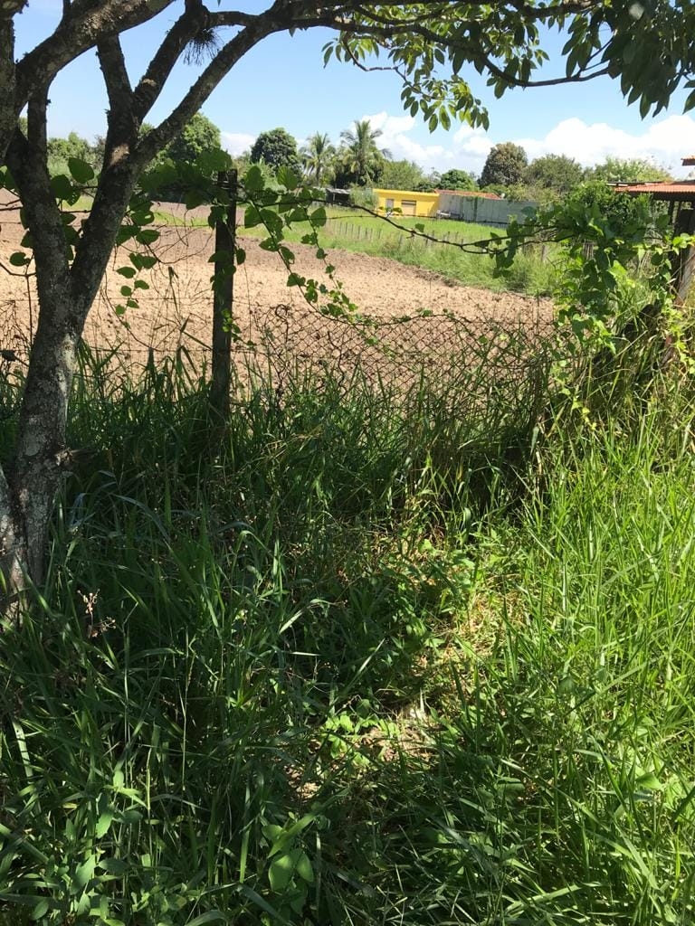 Terreno à venda, 2000m² - Foto 8