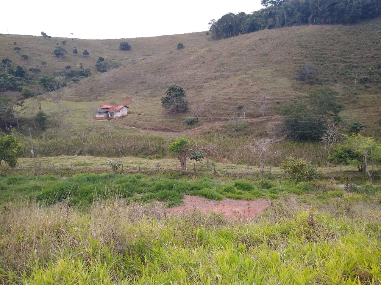 Terreno, 2000 m² - Foto 1