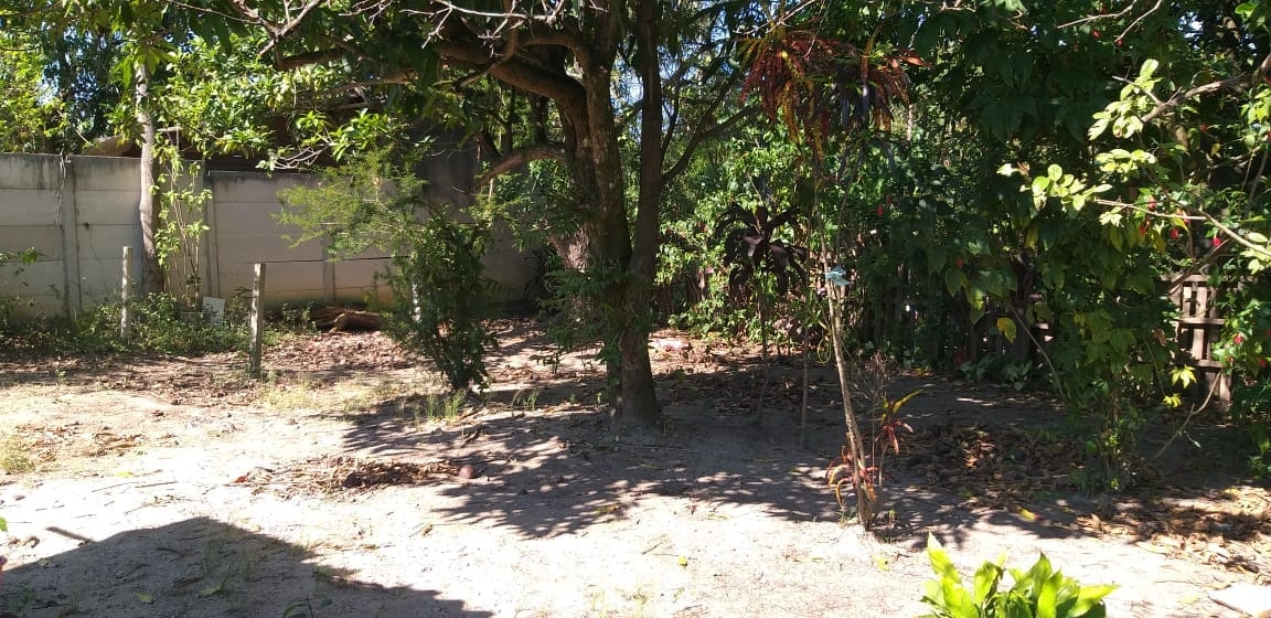 Terreno, 819 m² - Foto 3