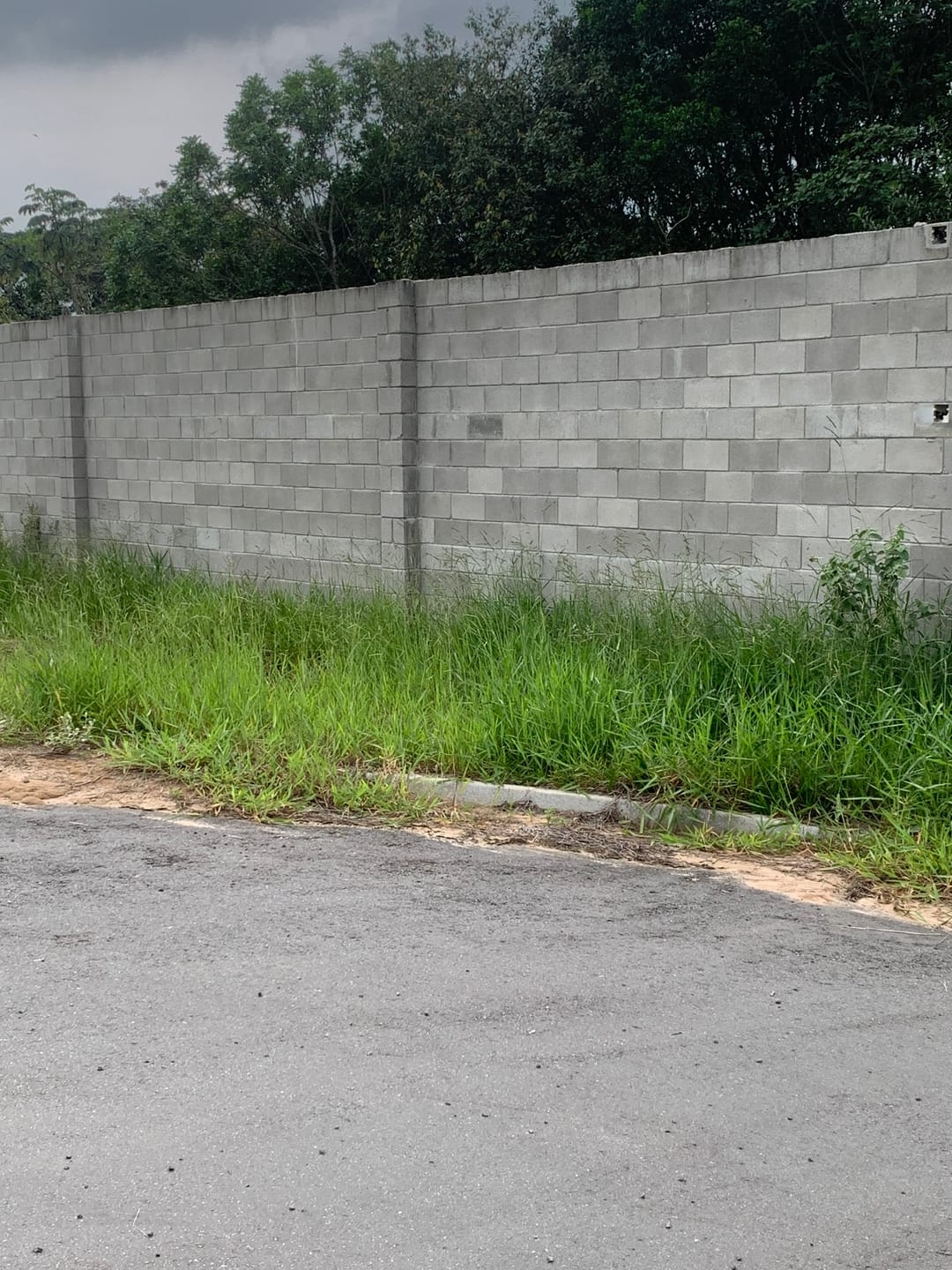 Terreno, 233 m² - Foto 6