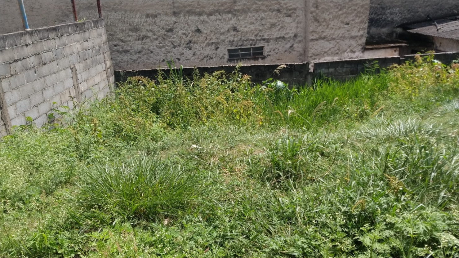 Terreno, 250 m² - Foto 1