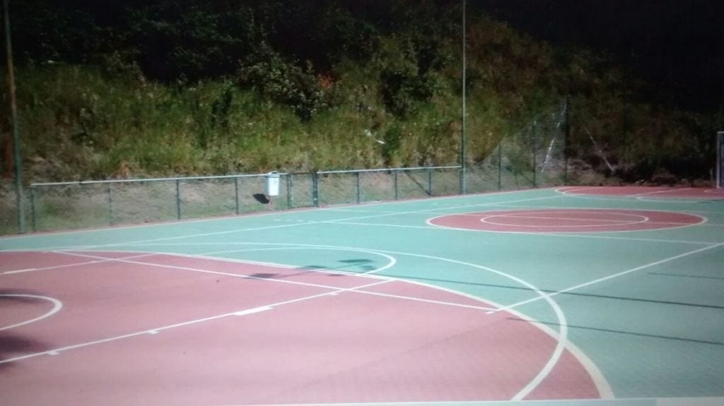 Terreno, 1001 m² - Foto 2