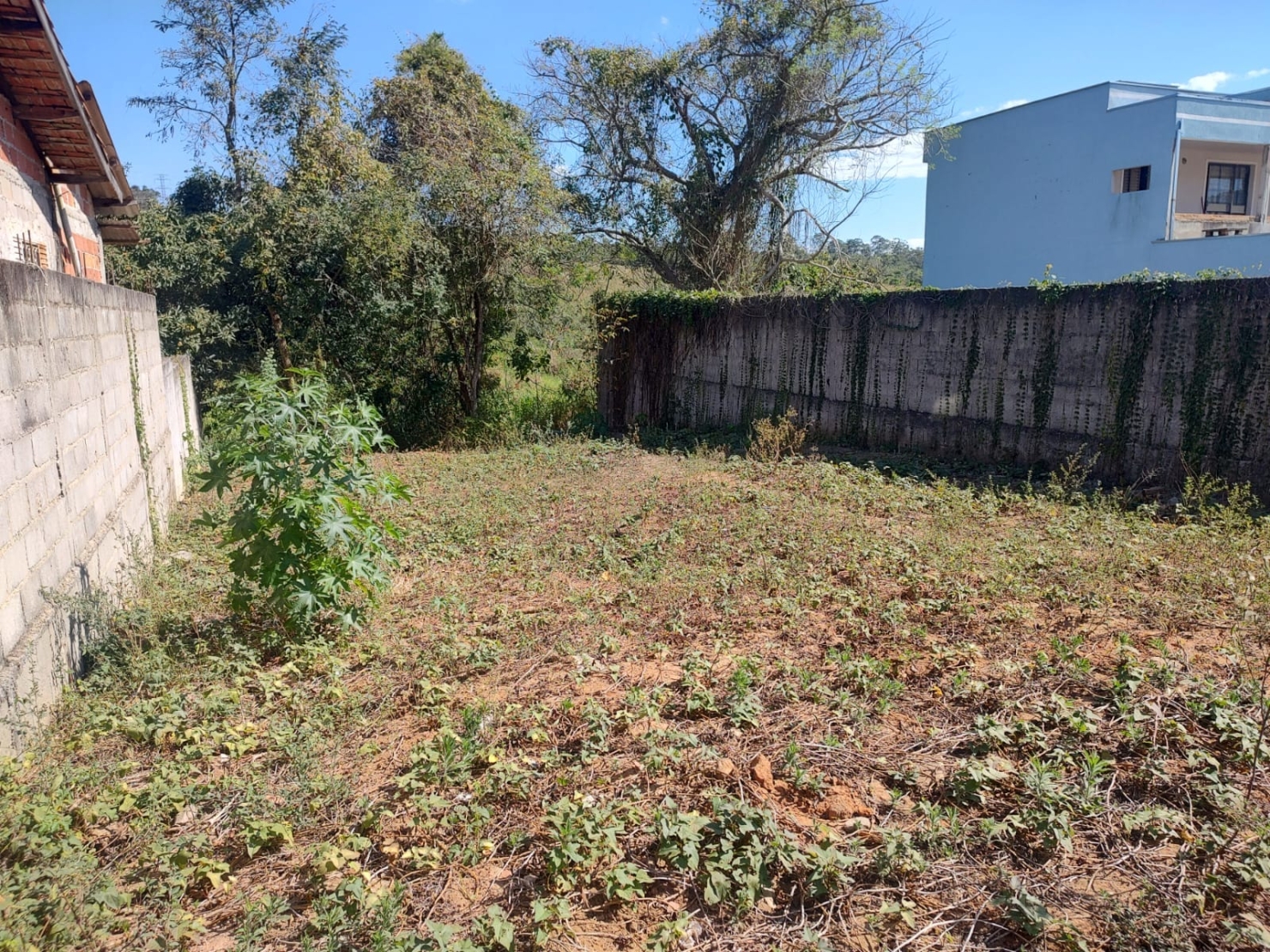 Terreno à venda, 426m² - Foto 6
