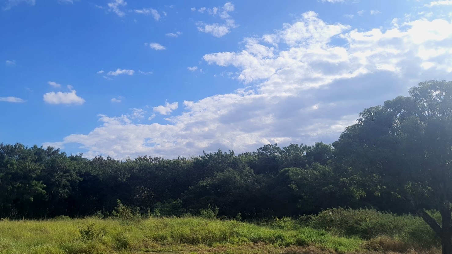 Terreno à venda, 8500m² - Foto 1