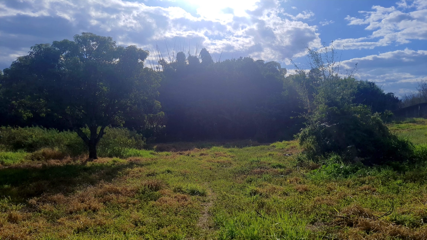 Terreno à venda, 8500m² - Foto 2