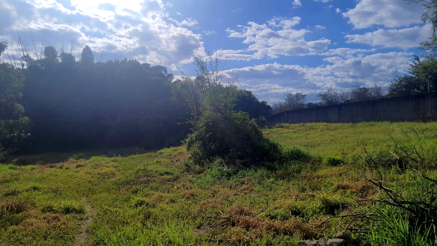 Terreno à venda, 8500m² - Foto 5