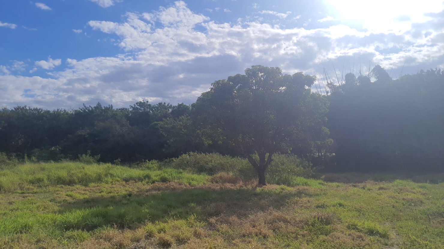 Terreno à venda, 8500m² - Foto 7