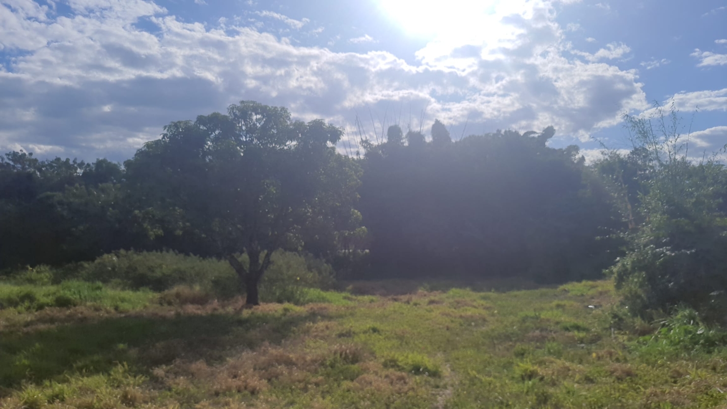 Terreno à venda, 8500m² - Foto 9