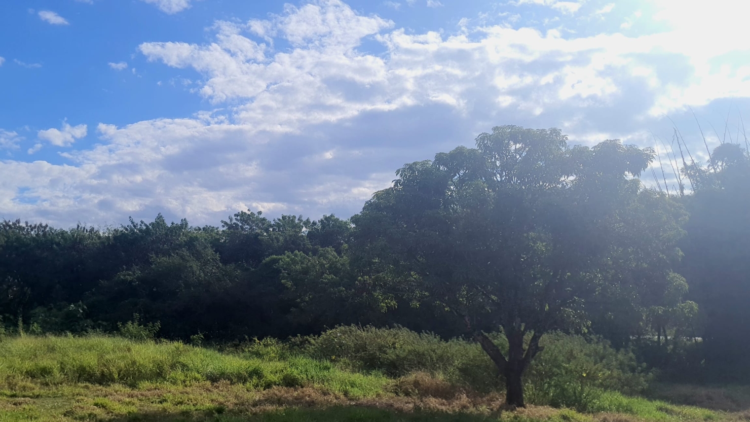 Terreno à venda, 8500m² - Foto 10