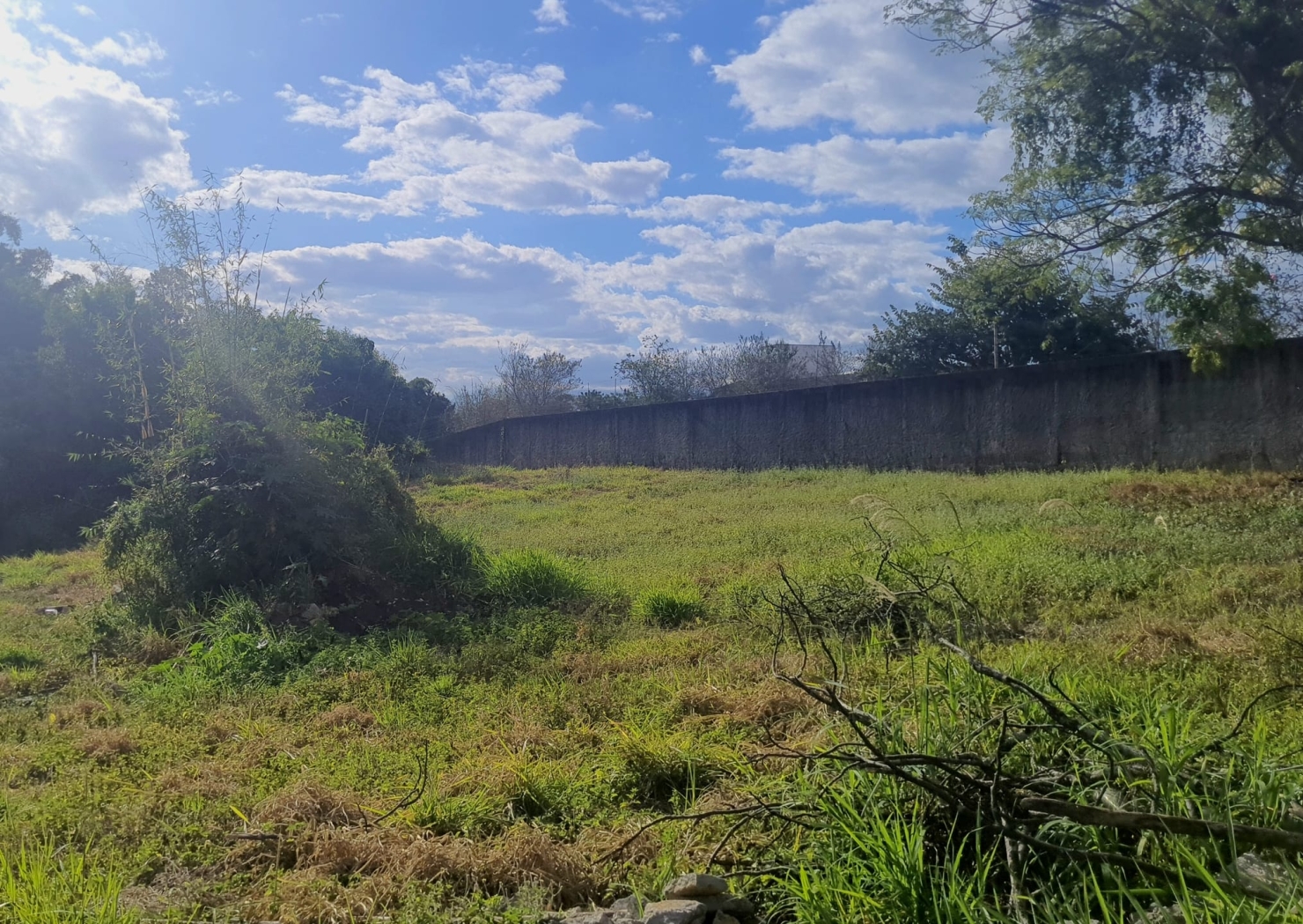 Terreno à venda, 8500m² - Foto 11