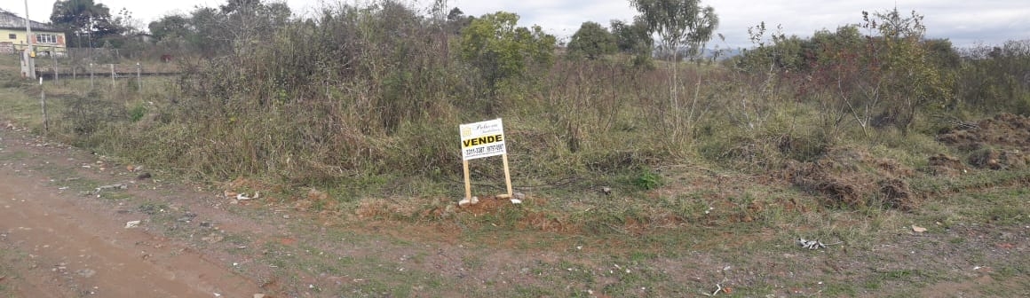 Terreno à venda, 1000m² - Foto 4