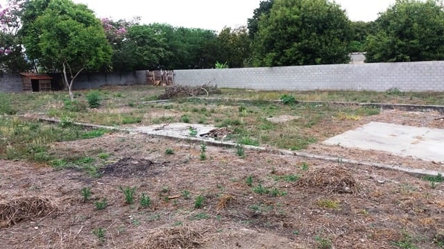 Terreno à venda, 1189m² - Foto 6