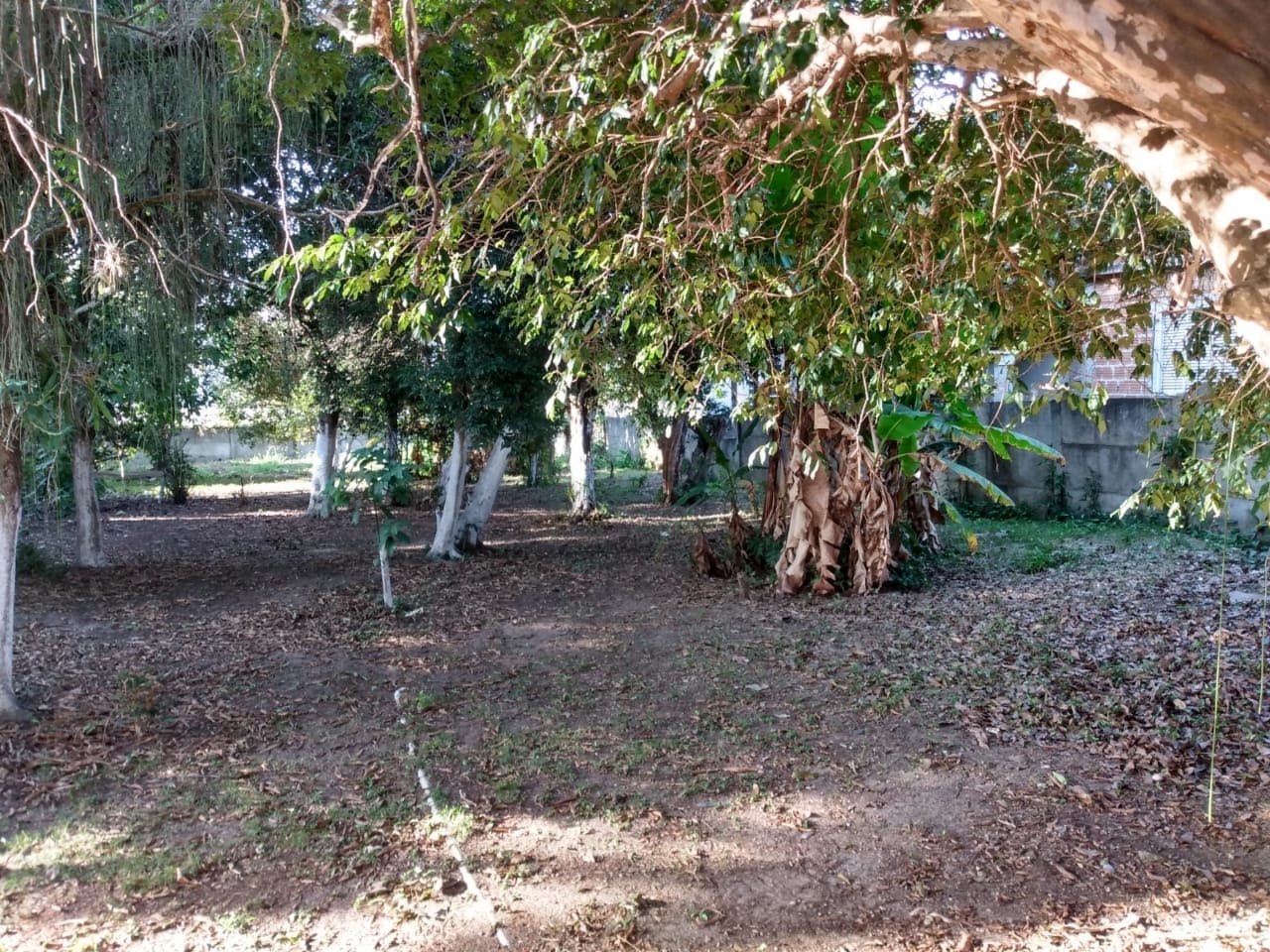 Terreno, 1270 m² - Foto 3