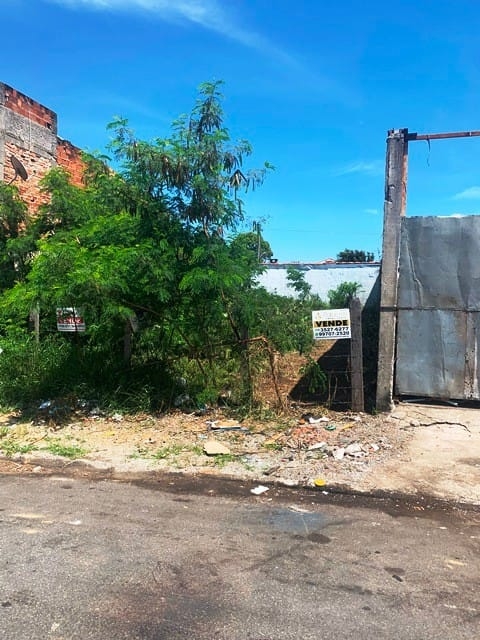 Terreno à venda, 250m² - Foto 1