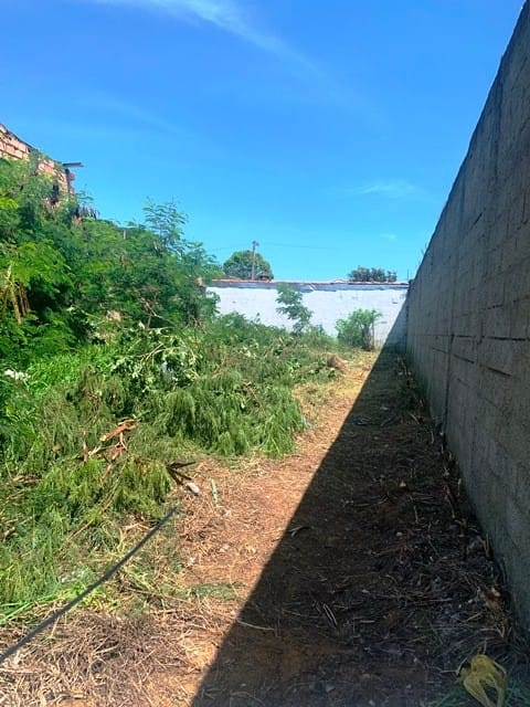 Terreno à venda, 250m² - Foto 3