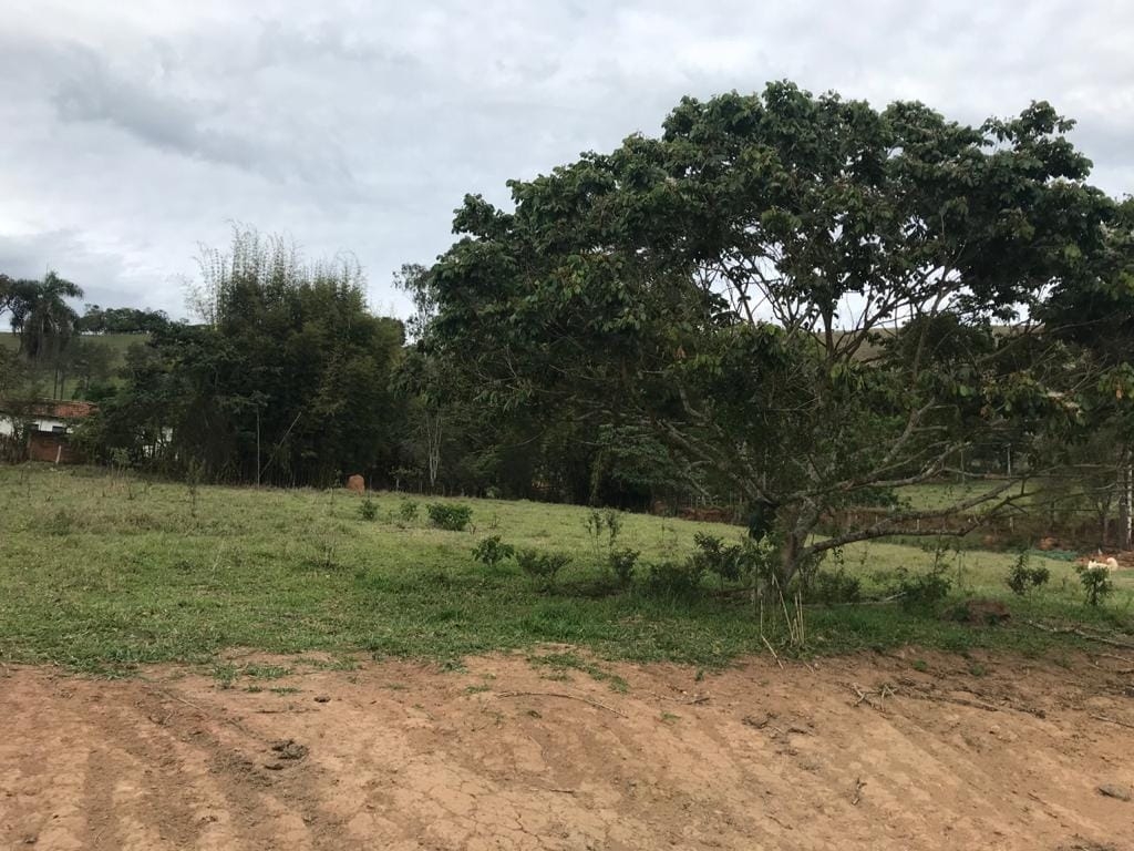 Terreno, 3 hectares - Foto 2