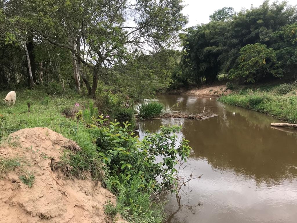 Terreno, 3 hectares - Foto 3