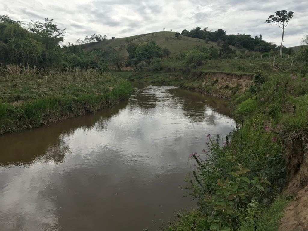 Terreno, 3 hectares - Foto 6