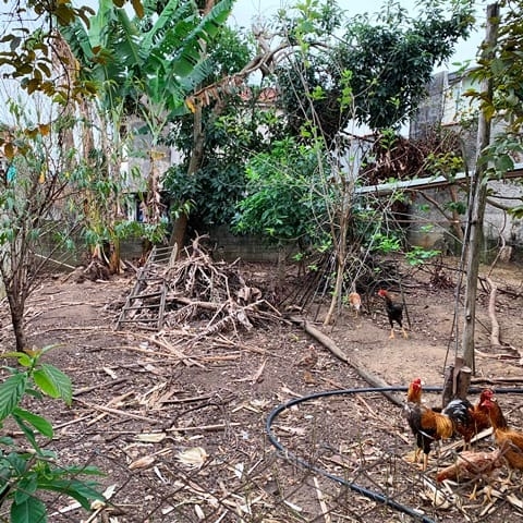 Terreno, 250 m² - Foto 7