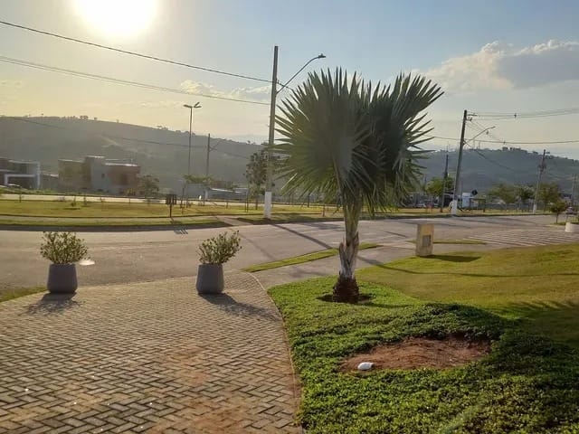 Terreno, 250 m² - Foto 3