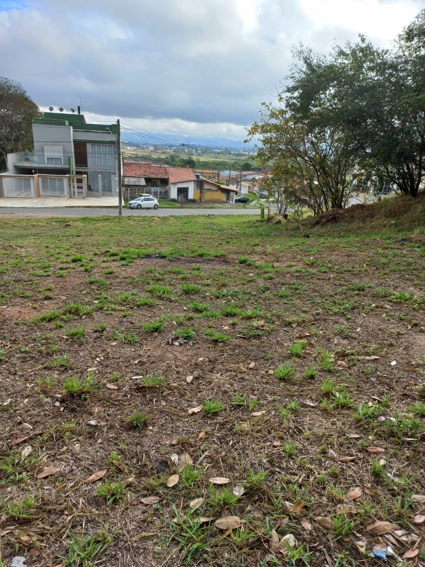 Terreno, 242 m² - Foto 5