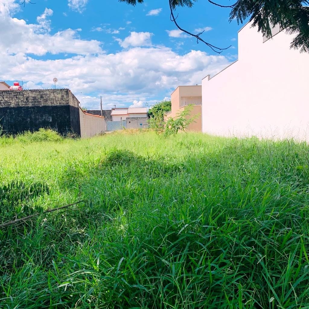 Terreno, 250 m² - Foto 3