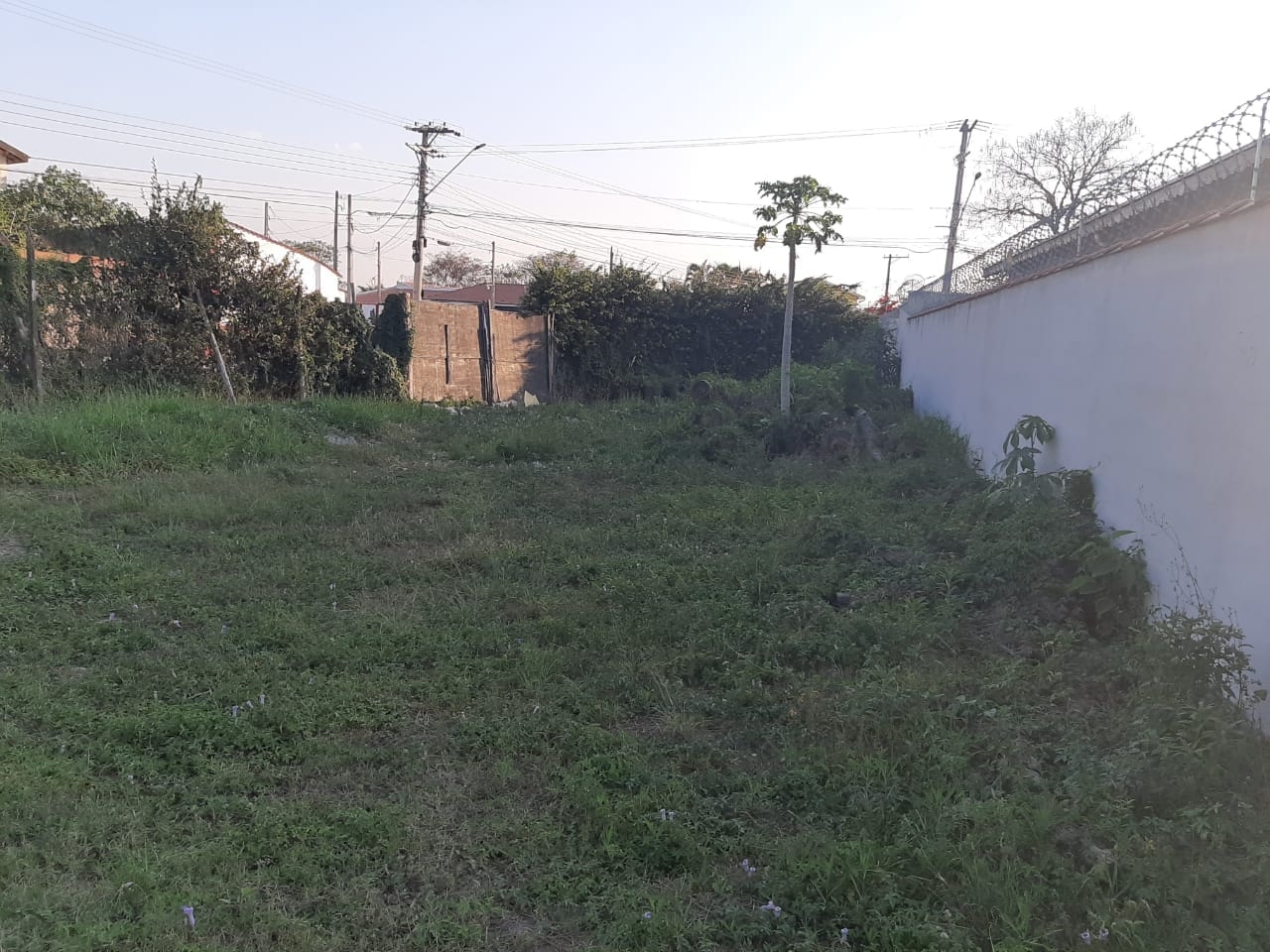 Terreno, 2260 m² - Foto 2