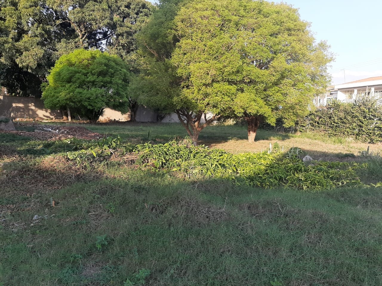 Terreno, 2260 m² - Foto 7