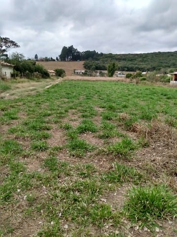 Terreno à venda, 1000m² - Foto 1