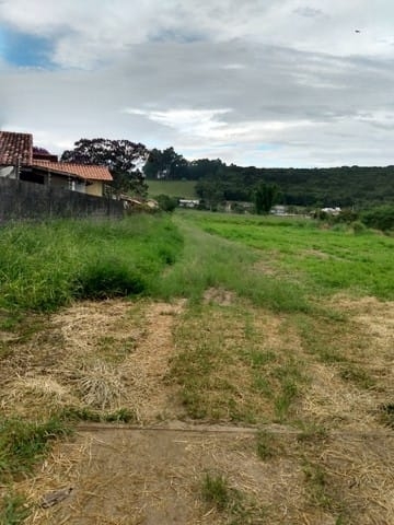 Terreno à venda, 1000m² - Foto 2