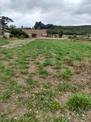 Terreno à venda, 1000m² - Foto 4