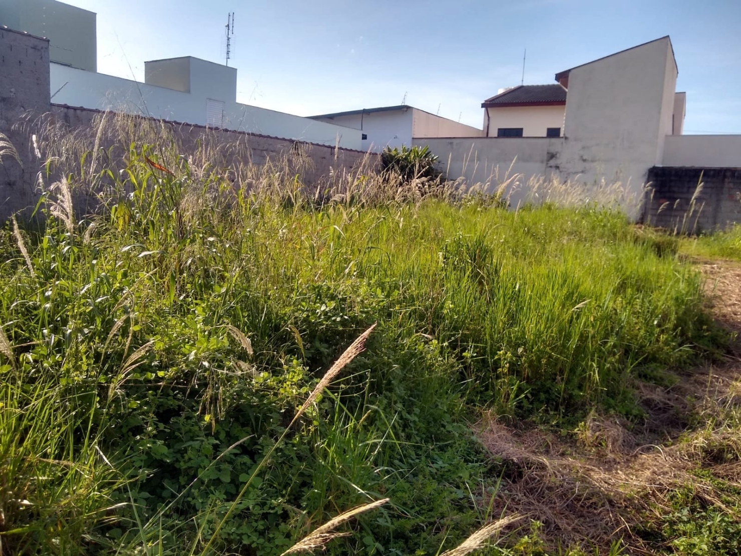 Terreno, 250 m² - Foto 4