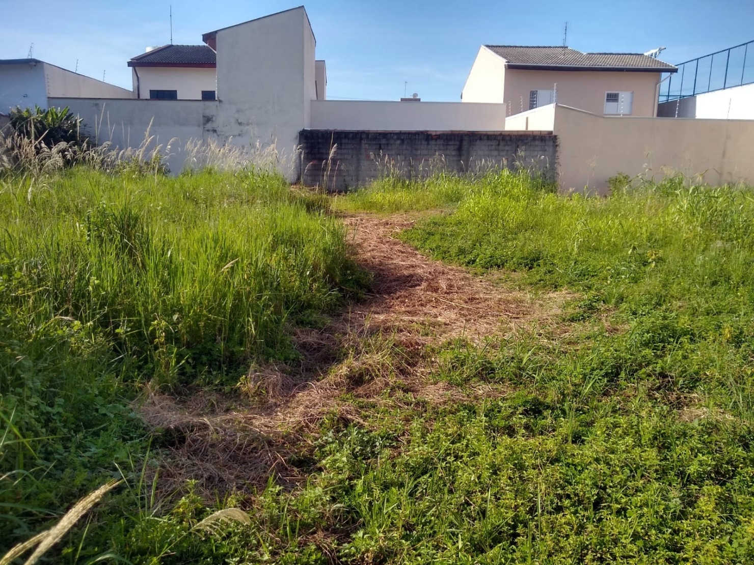 Terreno, 250 m² - Foto 8