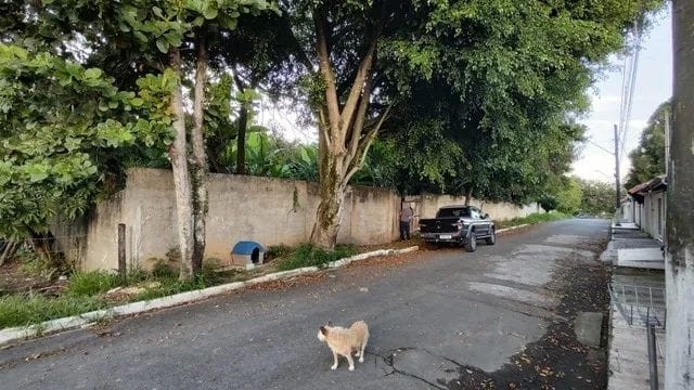Terreno à venda, 250m² - Foto 4