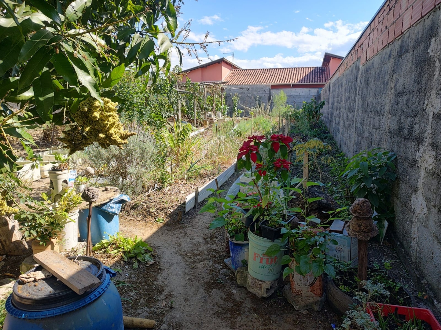 Terreno, 300 m² - Foto 2