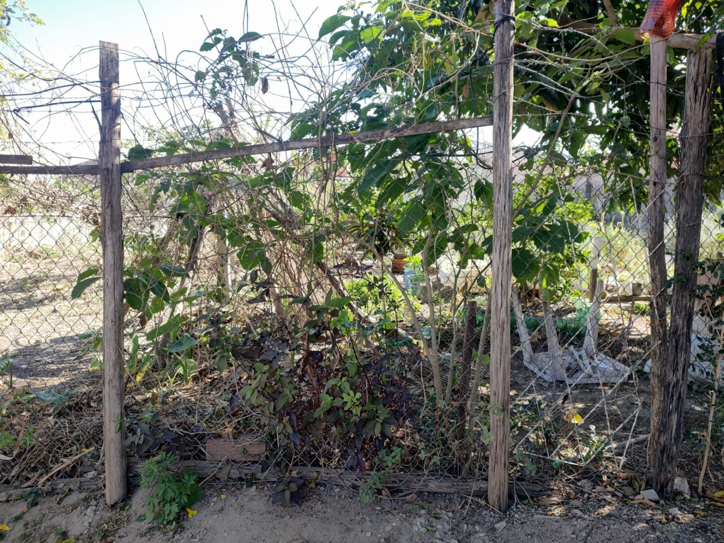 Terreno, 300 m² - Foto 5