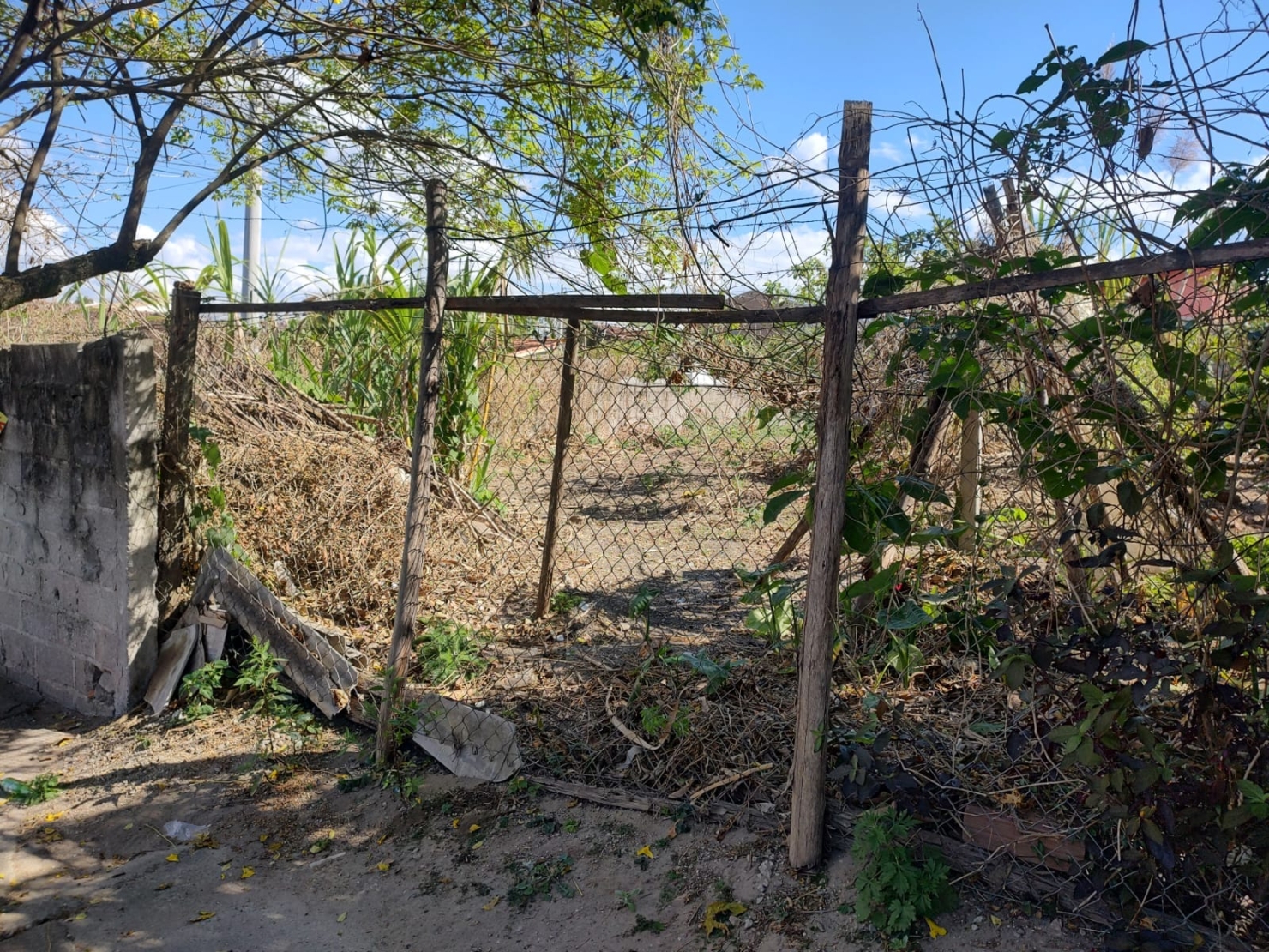 Terreno, 300 m² - Foto 6