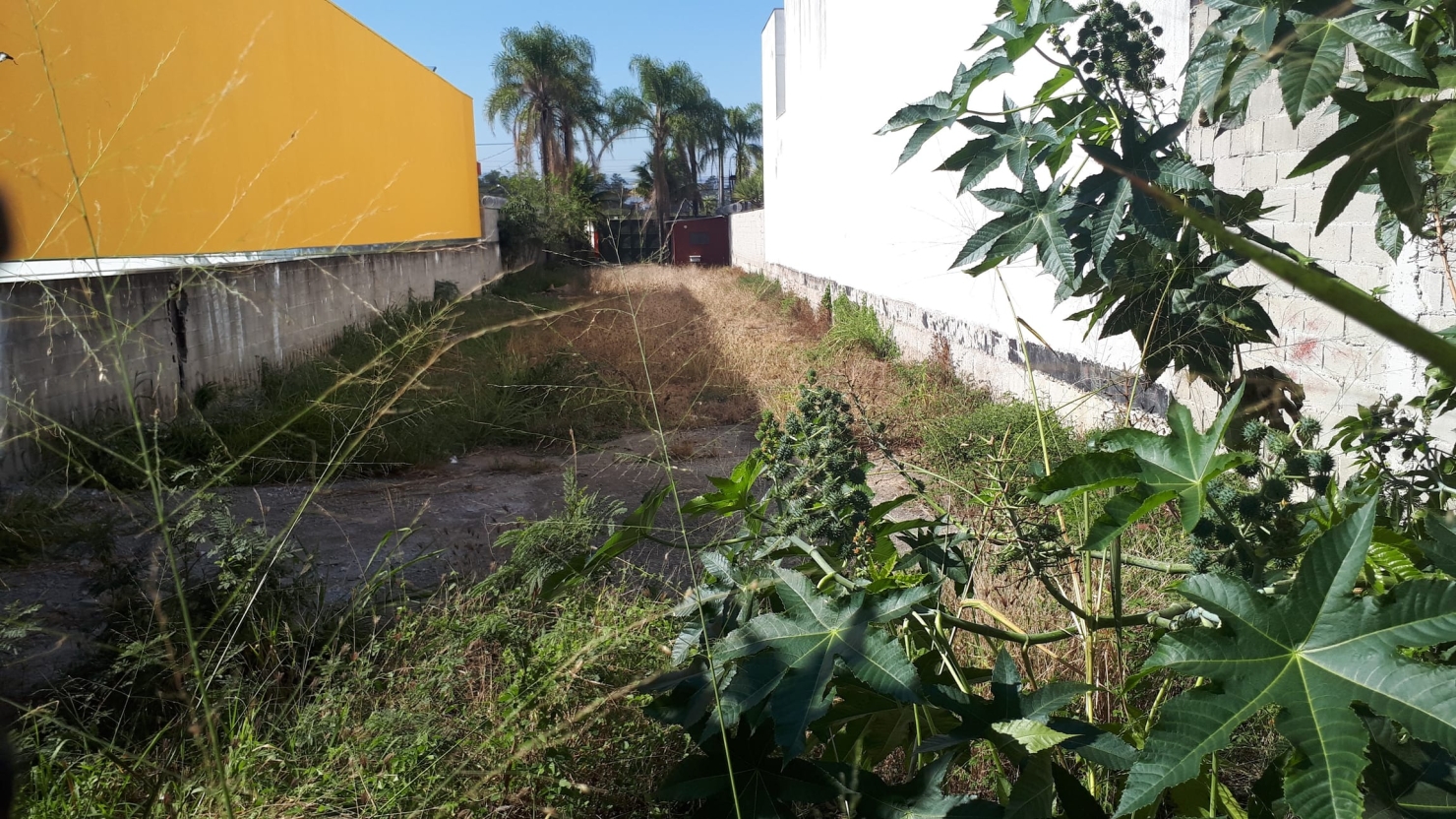 Terreno à venda, 755m² - Foto 2