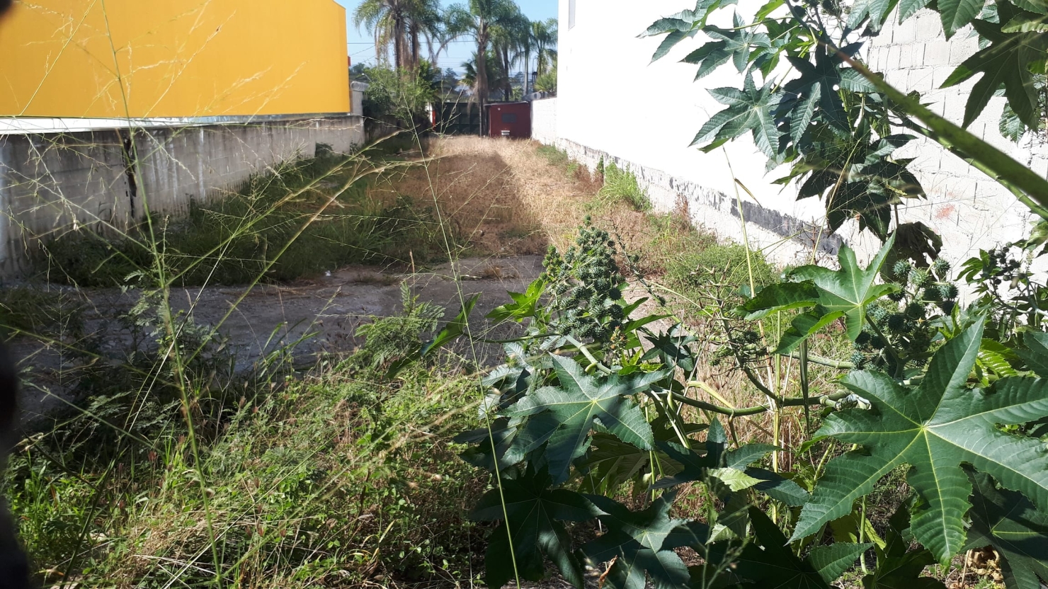 Terreno à venda, 755m² - Foto 3