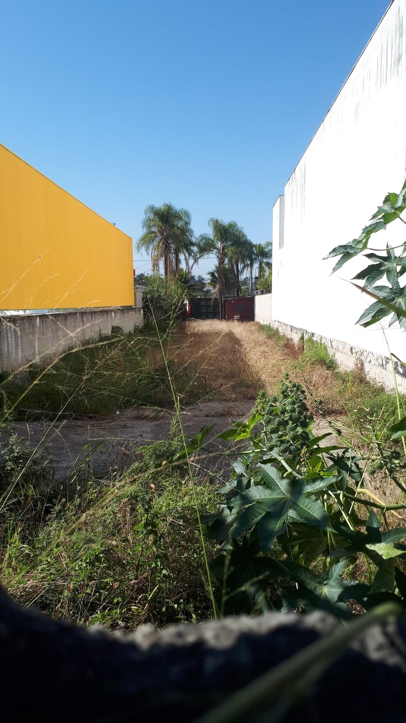 Terreno à venda, 755m² - Foto 4