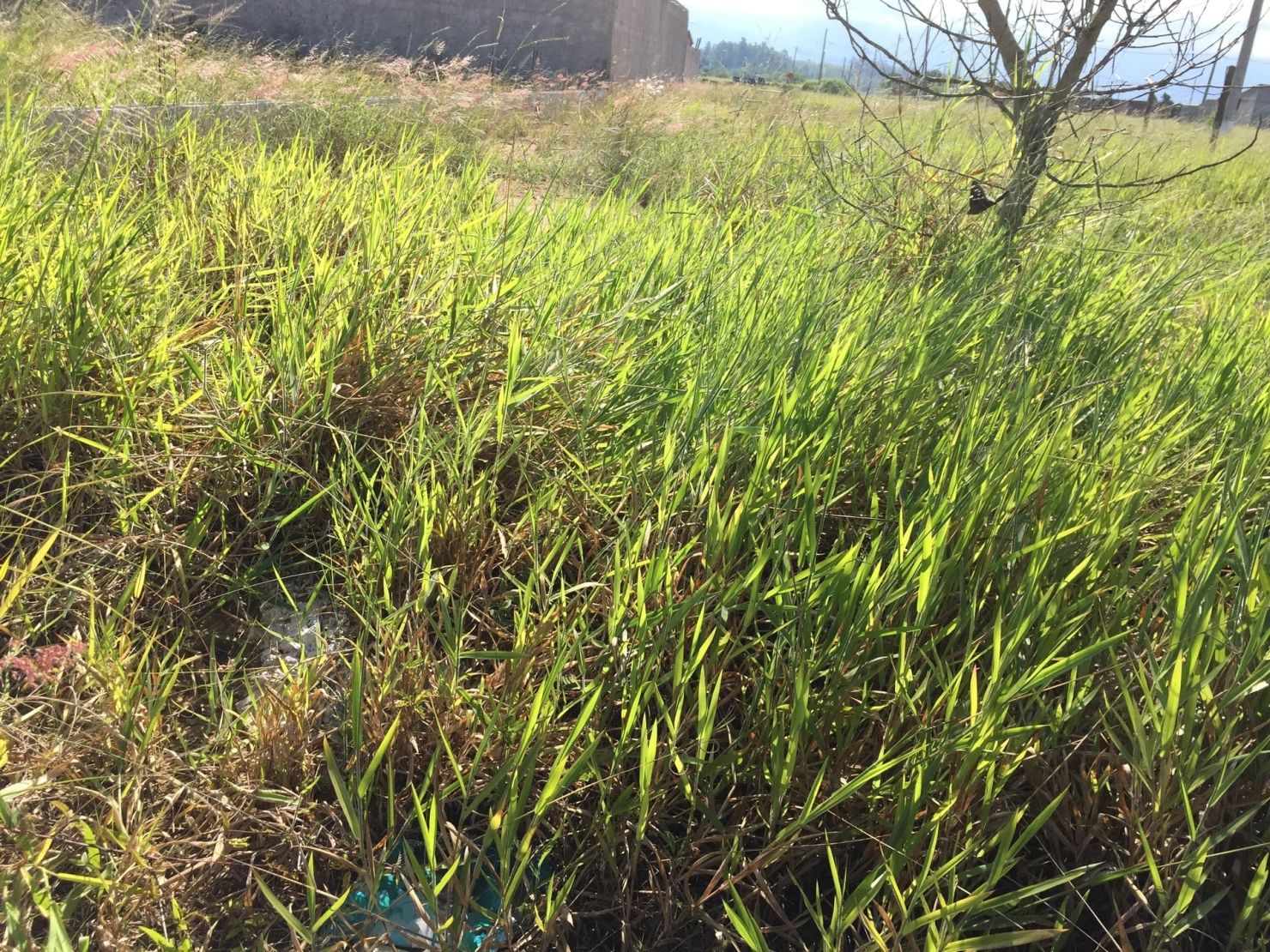 Terreno, 225 m² - Foto 4