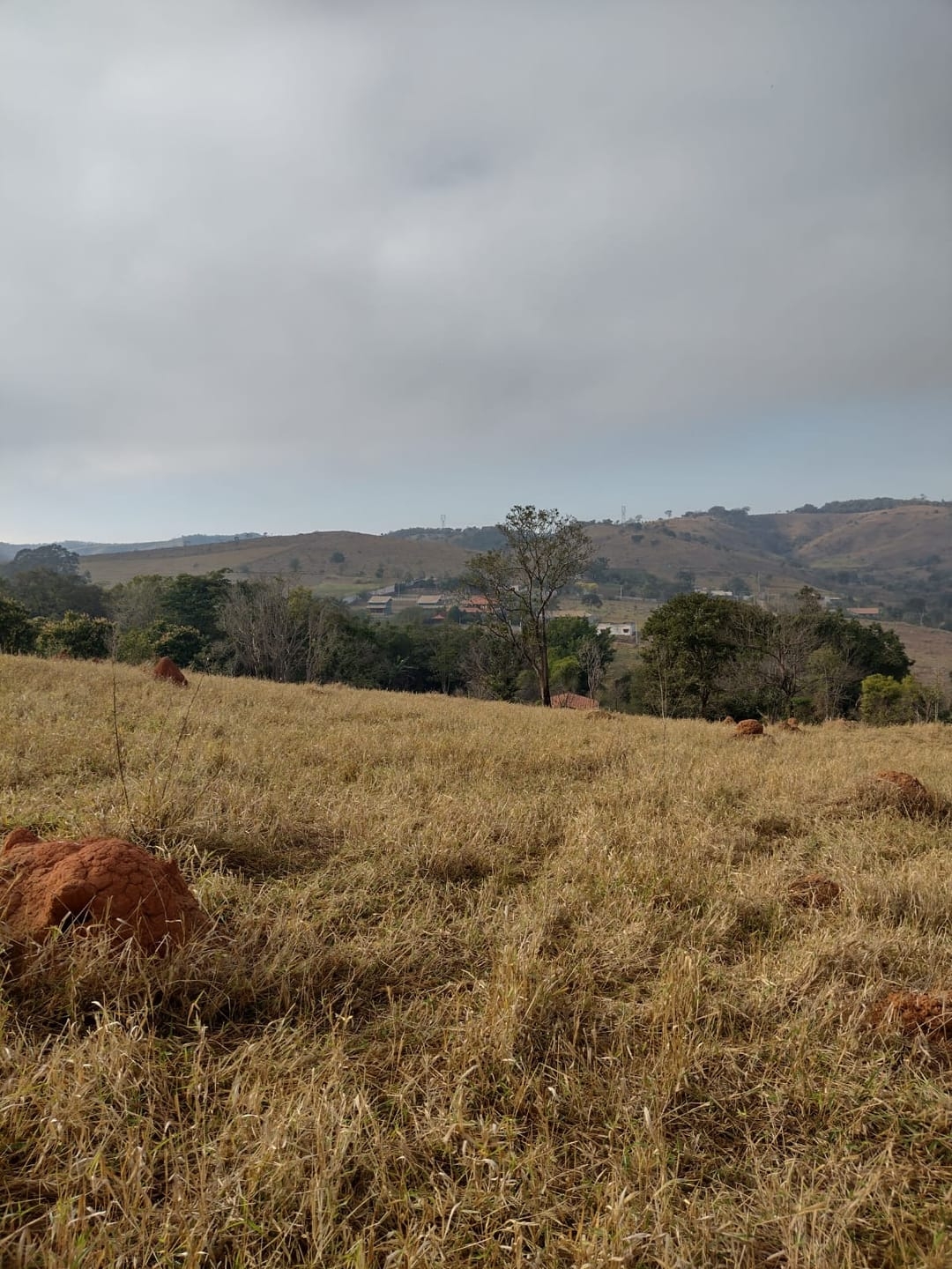 Terreno, 2 hectares - Foto 2