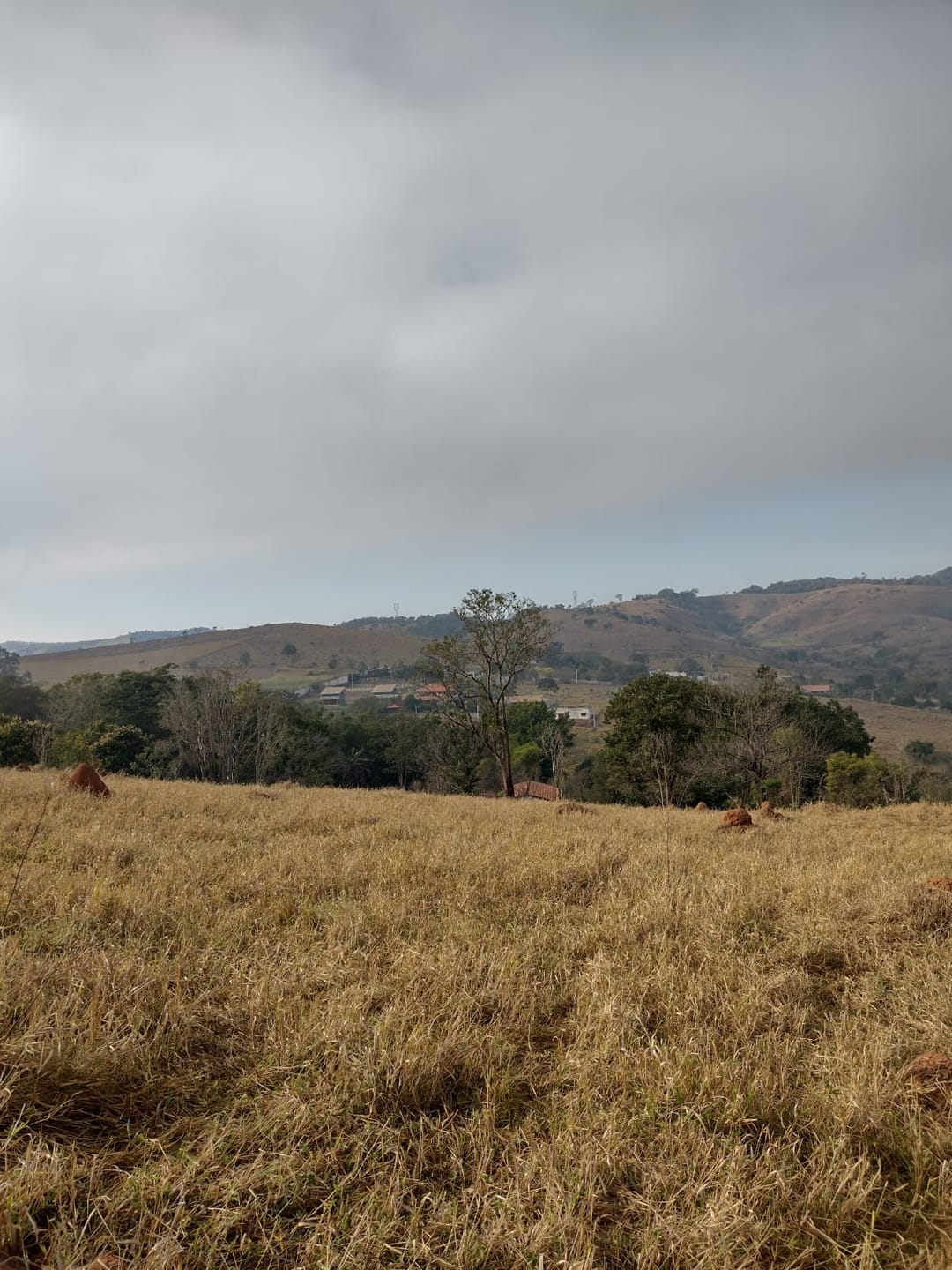 Terreno, 2 hectares - Foto 4