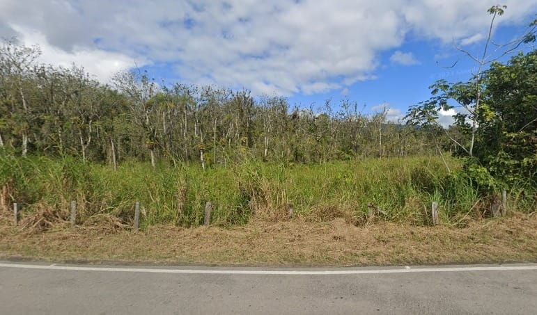 Terreno, 6 hectares - Foto 4