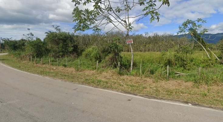 Terreno, 6 hectares - Foto 5