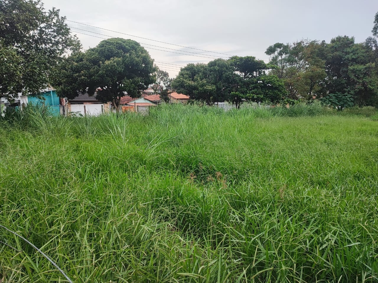 Terreno à venda, 300m² - Foto 3